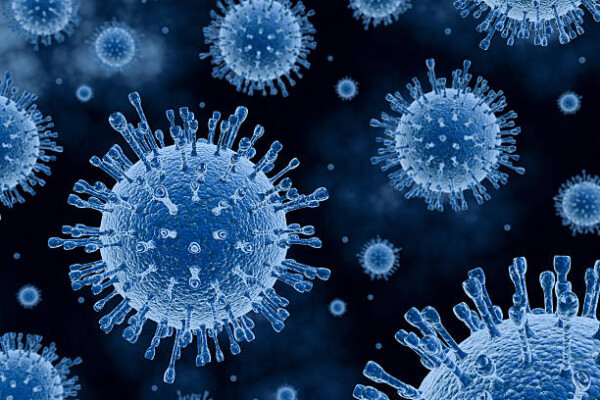 Flu Vaccination